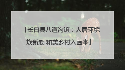 长白县八道沟镇：人居环境焕新颜 和美乡村入画来
