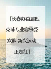 长春办首届匹克球专业赛事受欢迎 新兴运动正走红