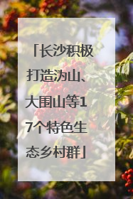 长沙积极打造沩山、大围山等17个特色生态乡村群