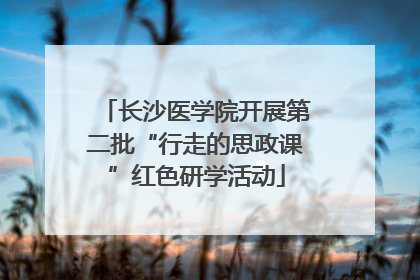 长沙医学院开展第二批“行走的思政课”红色研学活动