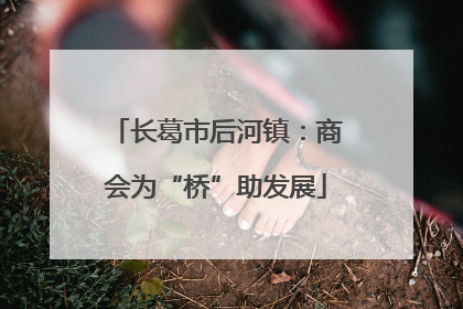 长葛市后河镇：商会为“桥”助发展