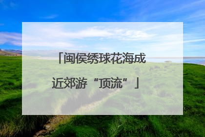 闽侯绣球花海成近郊游“顶流”