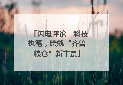 闪电评论｜科技执笔，绘就“齐鲁粮仓”新丰景
