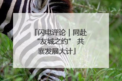 闪电评论｜同赴“友城之约” 共襄发展大计
