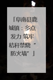 阜南县鹿城镇：多点发力 筑牢秸秆禁烧“防火墙”