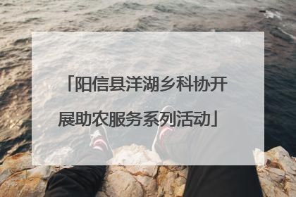 阳信县洋湖乡科协开展助农服务系列活动