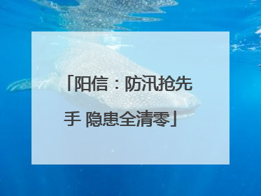 阳信：防汛抢先手 隐患全清零