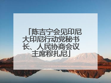 陈吉宁会见印尼大印尼行动党秘书长、人民协商会议主席穆扎尼