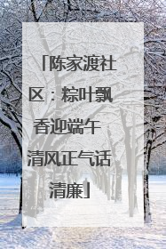 陈家渡社区：粽叶飘香迎端午 清风正气话清廉