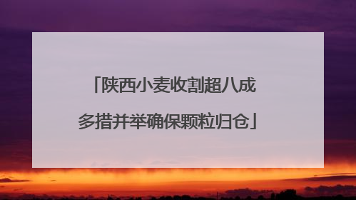 陕西小麦收割超八成 多措并举确保颗粒归仓