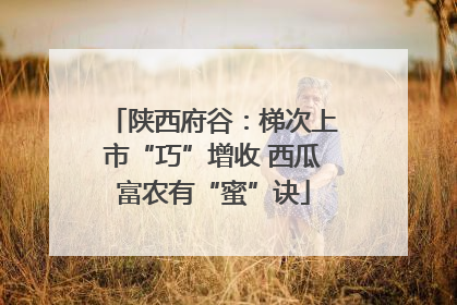 陕西府谷：梯次上市“巧”增收 西瓜富农有“蜜”诀