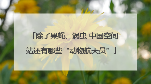 除了果蝇、涡虫 中国空间站还有哪些“动物航天员”