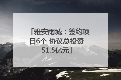 雅安雨城：签约项目6个 协议总投资51.5亿元