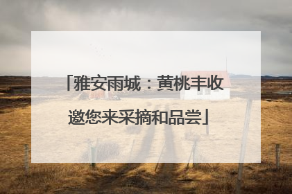 雅安雨城：黄桃丰收 邀您来采摘和品尝