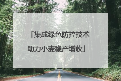 集成绿色防控技术助力小麦稳产增收