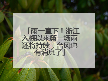 雨一直下！浙江入梅以来第一场雨还将持续，台风也有消息了