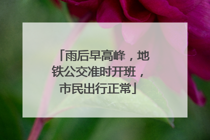 雨后早高峰，地铁公交准时开班，市民出行正常