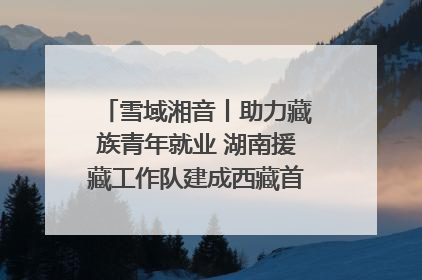 雪域湘音丨助力藏族青年就业 湖南援藏工作队建成西藏首个清洁能源装备园