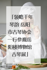 领略千年琴韵 岳阳市古琴协会一行参观岳阳楼博物馆古琴展