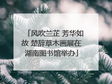 风吹兰芷 芳华如故 楚辞草木画展在湖南图书馆举办