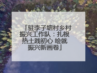 驻李子塘村乡村振兴工作队：扎根热土践初心 绘就振兴新画卷
