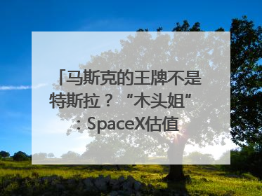 马斯克的王牌不是特斯拉？“木头姐”：SpaceX估值五年后可达2.5万亿美元！
