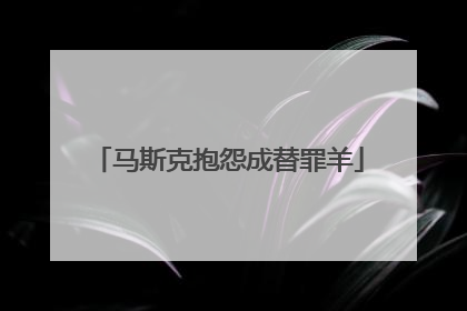 马斯克抱怨成替罪羊