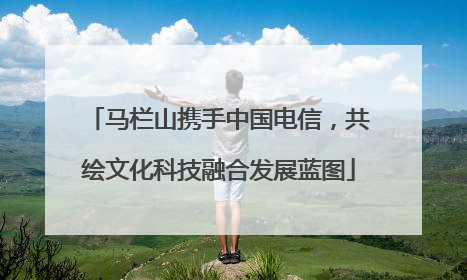 马栏山携手中国电信，共绘文化科技融合发展蓝图