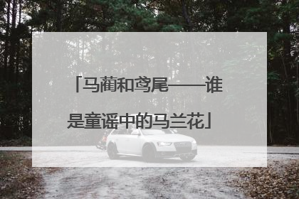 马蔺和鸢尾——谁是童谣中的马兰花