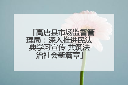 高唐县市场监督管理局：深入推进民法典学习宣传 共筑法治社会新篇章