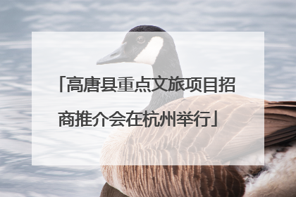 高唐县重点文旅项目招商推介会在杭州举行