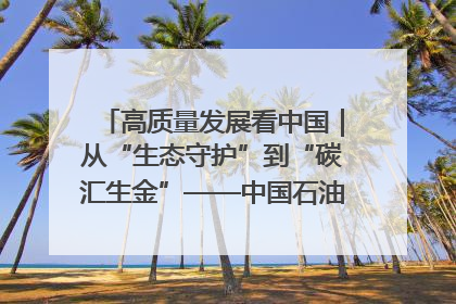 高质量发展看中国｜从“生态守护”到“碳汇生金”——中国石油大庆油田绿色蝶变