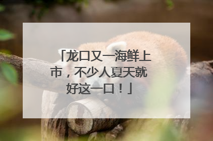 龙口又一海鲜上市，不少人夏天就好这一口！