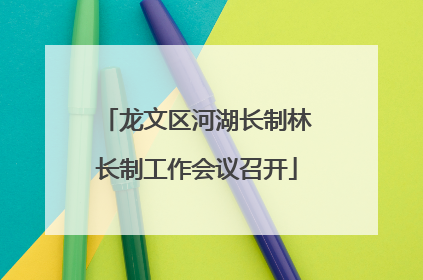 龙文区河湖长制林长制工作会议召开