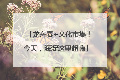 龙舟赛+文化市集！今天，海淀这里超嗨