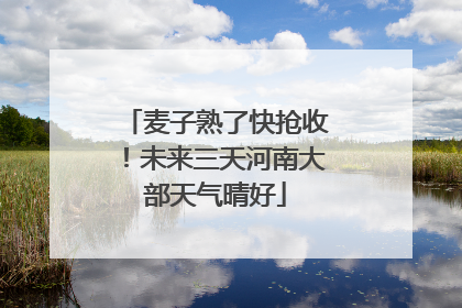 麦子熟了快抢收！未来三天河南大部天气晴好
