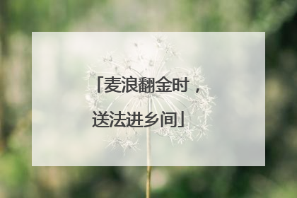 麦浪翻金时，送法进乡间