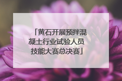 黄石开展预拌混凝土行业试验人员技能大赛总决赛