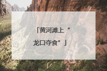 黄河滩上“龙口夺食”
