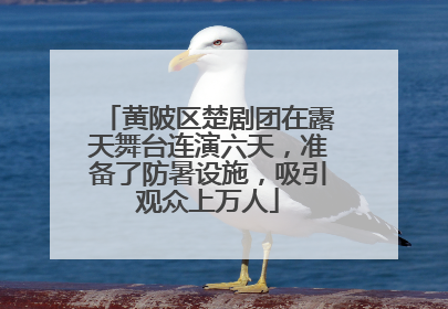 黄陂区楚剧团在露天舞台连演六天，准备了防暑设施，吸引观众上万人