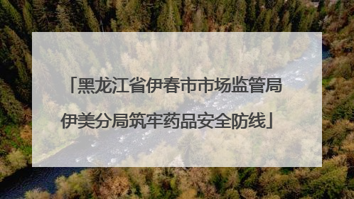 黑龙江省伊春市市场监管局伊美分局筑牢药品安全防线