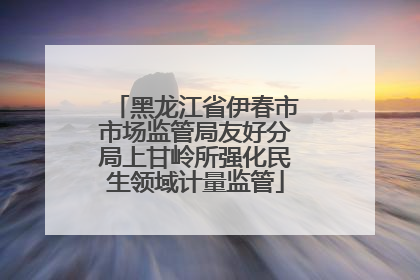 黑龙江省伊春市市场监管局友好分局上甘岭所强化民生领域计量监管