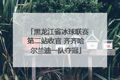 黑龙江省冰球联赛第二站收官 齐齐哈尔兰迪一队夺冠