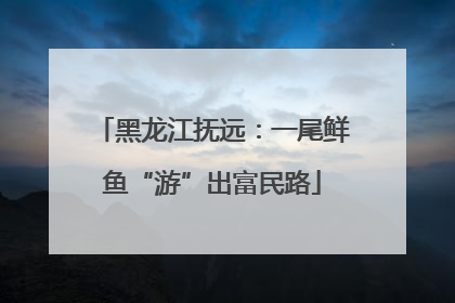 黑龙江抚远：一尾鲜鱼“游”出富民路