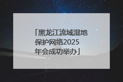 黑龙江流域湿地保护网络2025年会成功举办