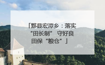 黟县宏潭乡：落实“田长制” 守好良田保“粮仓”