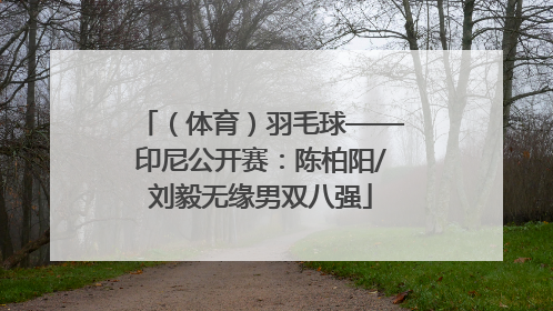 （体育）羽毛球——印尼公开赛：陈柏阳/刘毅无缘男双八强