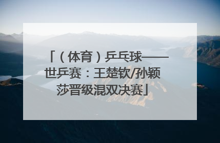 （体育）乒乓球——世乒赛：王楚钦/孙颖莎晋级混双决赛