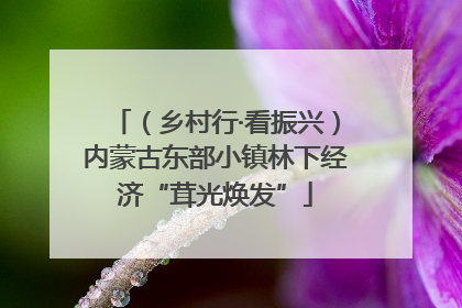 （乡村行·看振兴）内蒙古东部小镇林下经济“茸光焕发”
