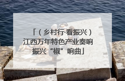 （乡村行·看振兴）江西万年特色产业奏响振兴“椒”响曲
